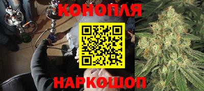 стаф Малгобек
