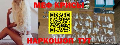 стаф Малгобек