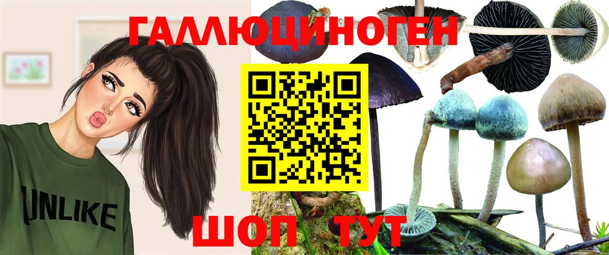 Серпухов  Галлюциногенные грибы мухоморы  Псилоцибиновые грибы прущие грибы  Вход с VPN 